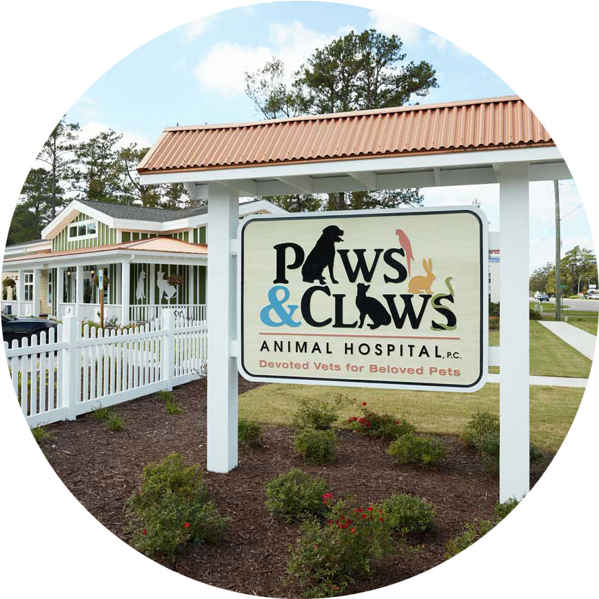 veterinary practice construction customer